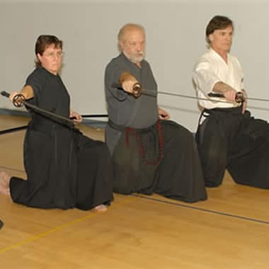 iaido-380